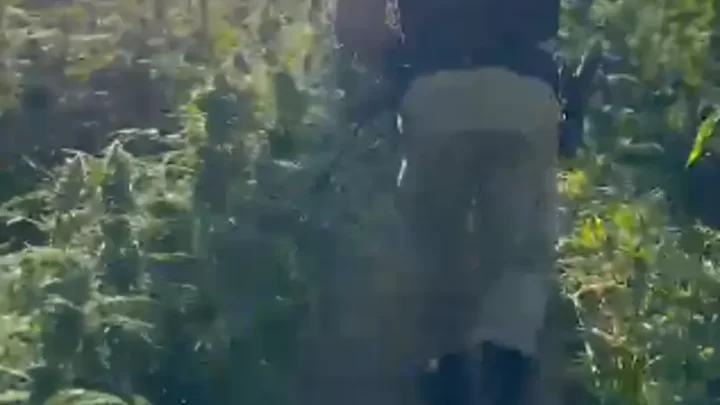 Segundo a PMMG, três suspeitos foram presos durante operação com apoio da Polícia Civil no município.