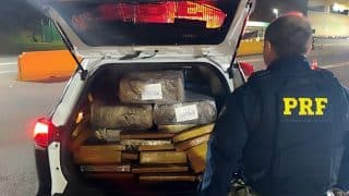 pdf-apreende-239kg-maconha