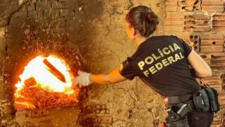 pf-incinera-cerca-de-25-toneladas-de-drogas-em-belo-horizonte