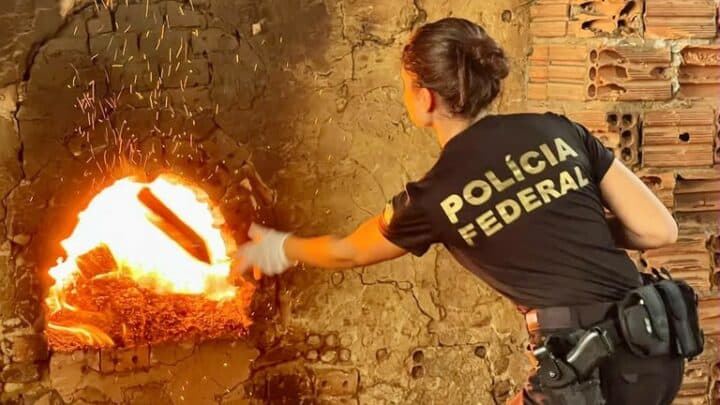 pf-incinera-cerca-de-25-toneladas-de-drogas-em-belo-horizonte